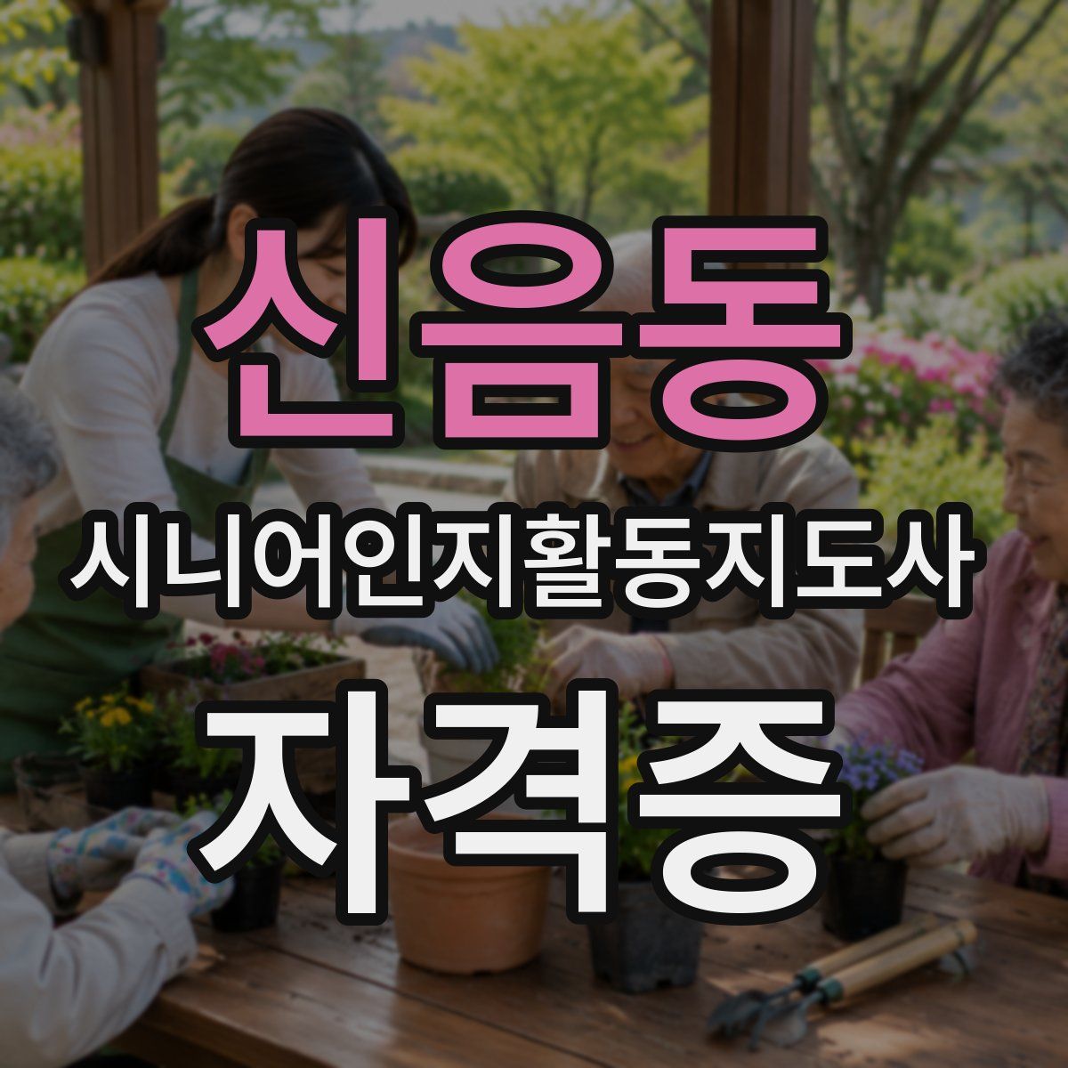 신음동 시니어인지활동지도사 자격증