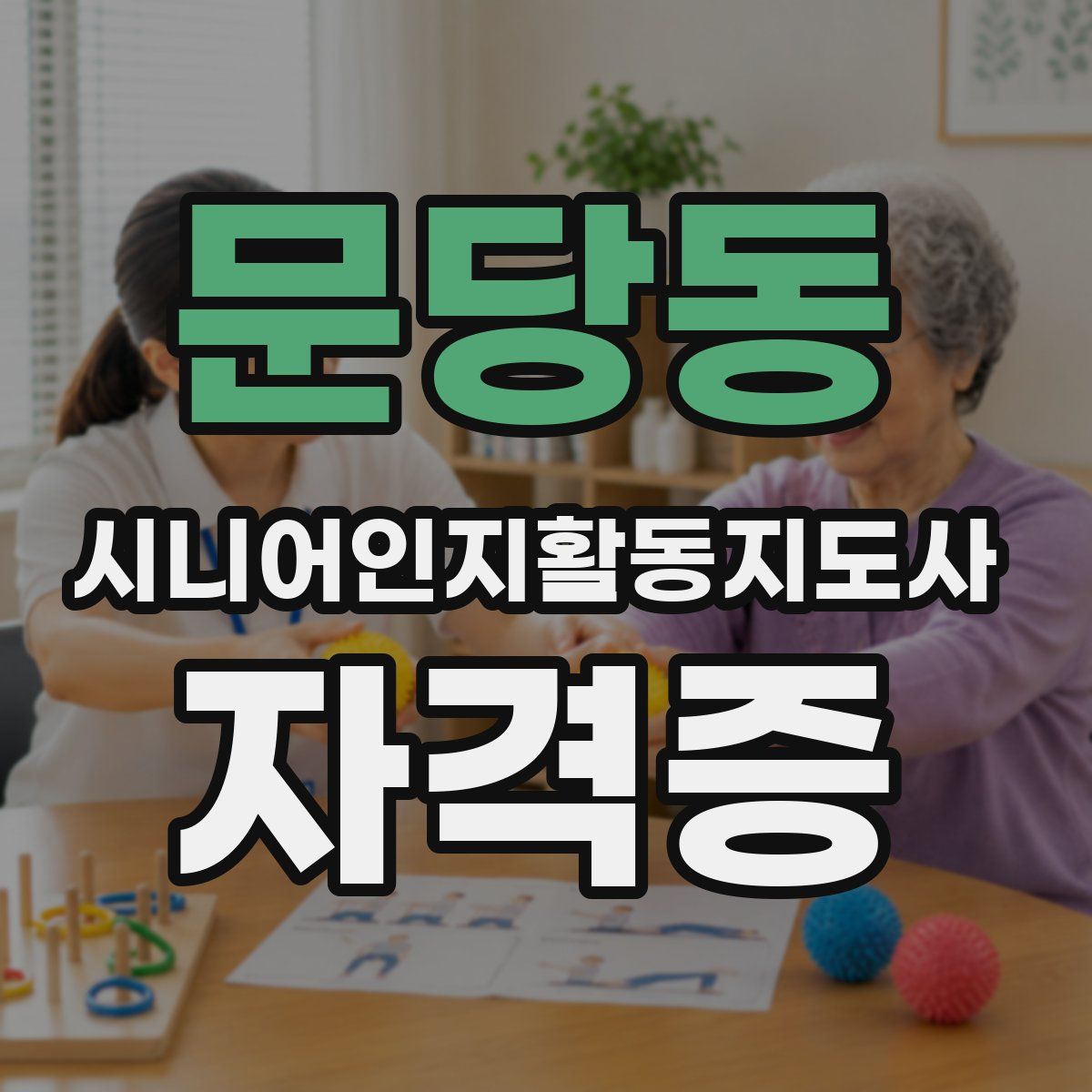 문당동 시니어인지활동지도사 자격증