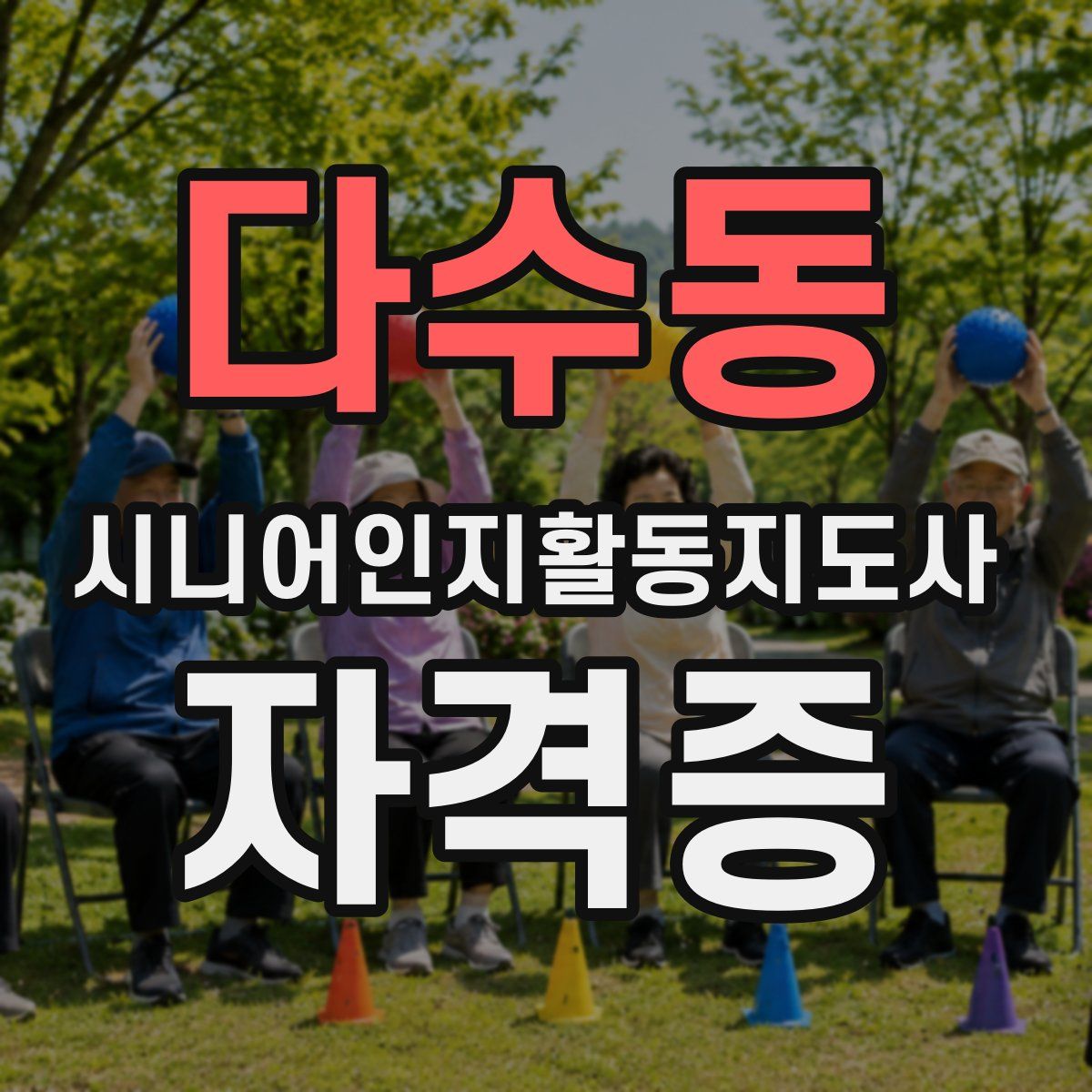 다수동 시니어인지활동지도사 자격증