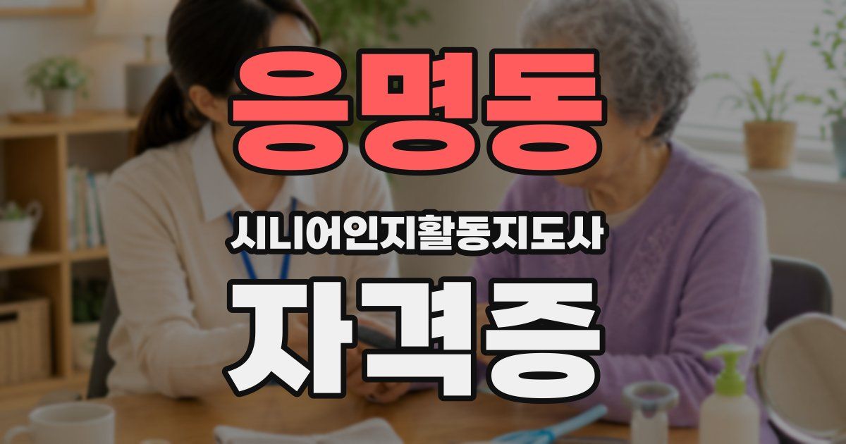 응명동 시니어인지활동지도사 자격증