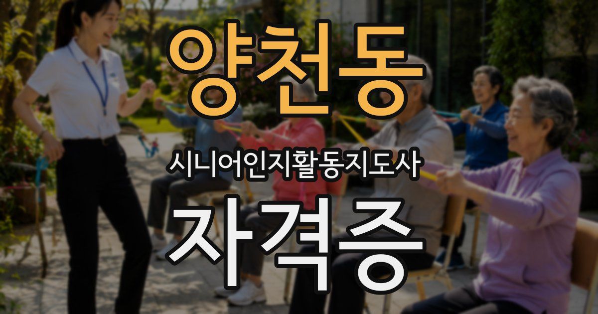 양천동 시니어인지활동지도사 자격증