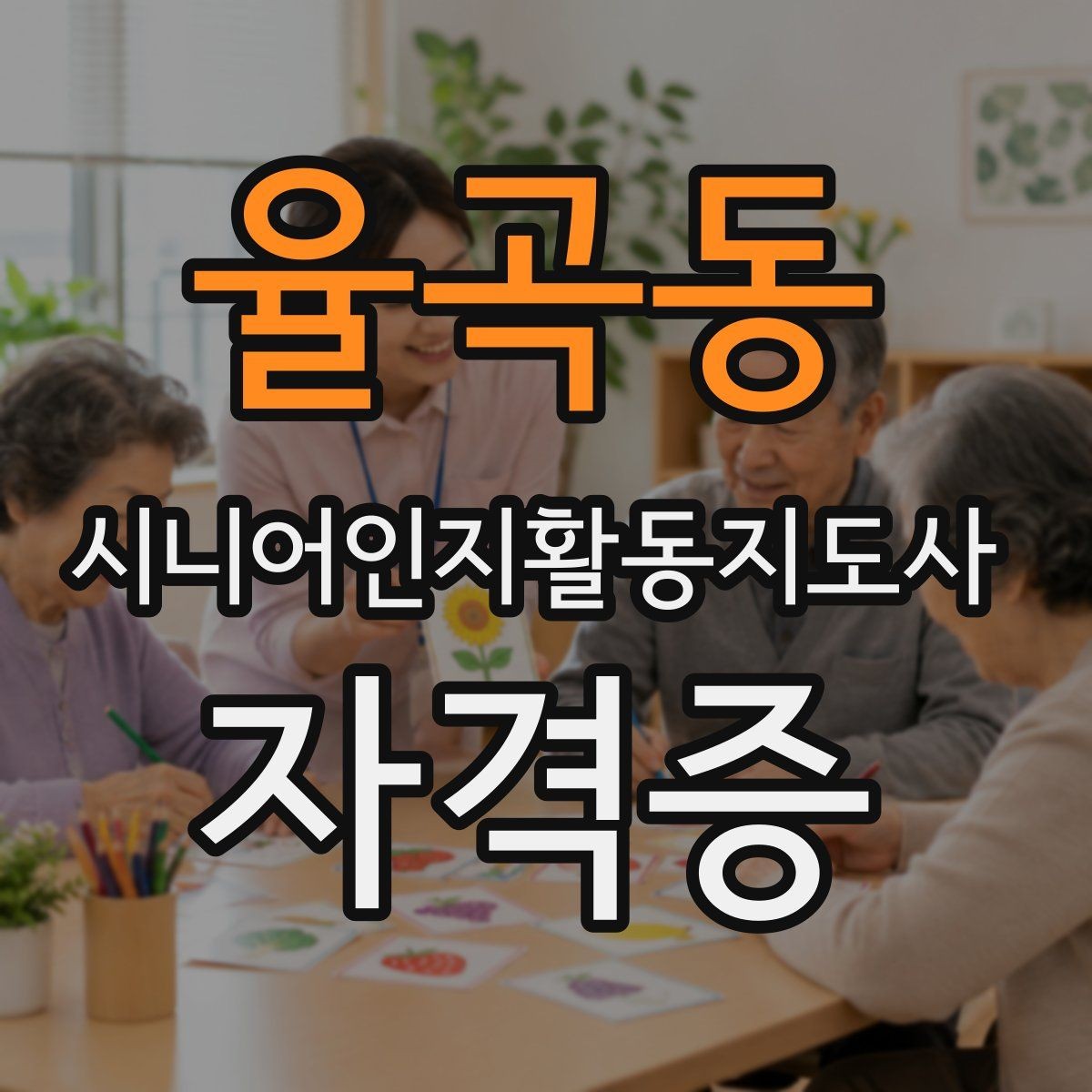 율곡동 시니어인지활동지도사 자격증 민간자격 선택 시 비교 기준