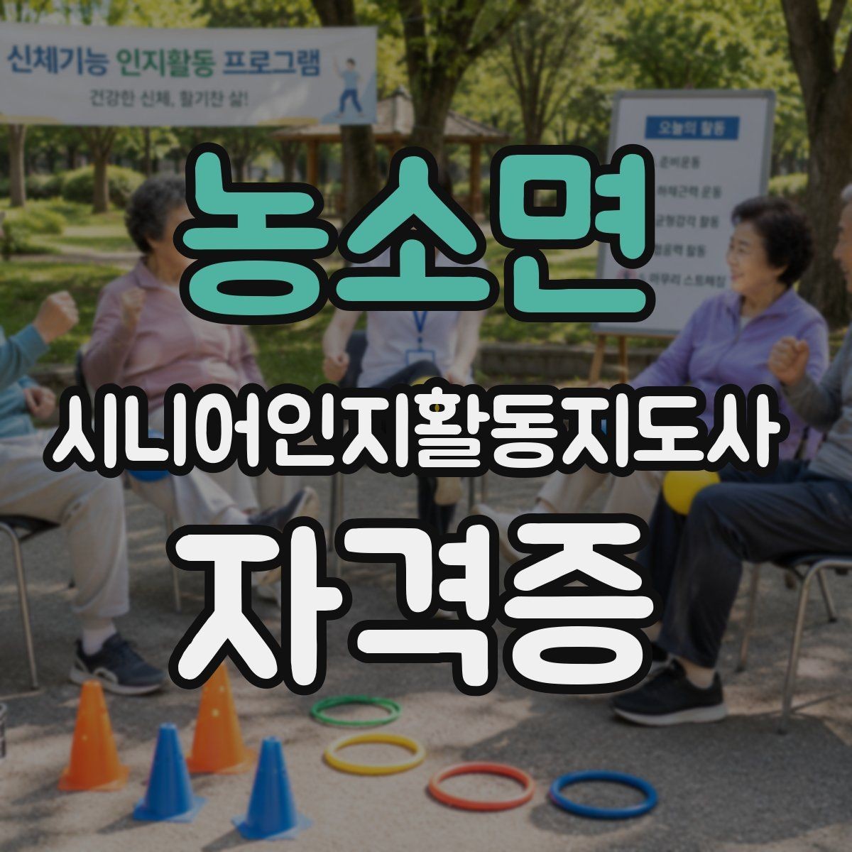 농소면 시니어인지활동지도사 자격증 공부가 처음인 사람을 위한 안내