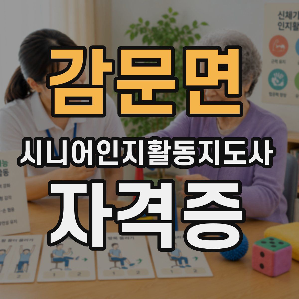 감문면 시니어인지활동지도사 자격증