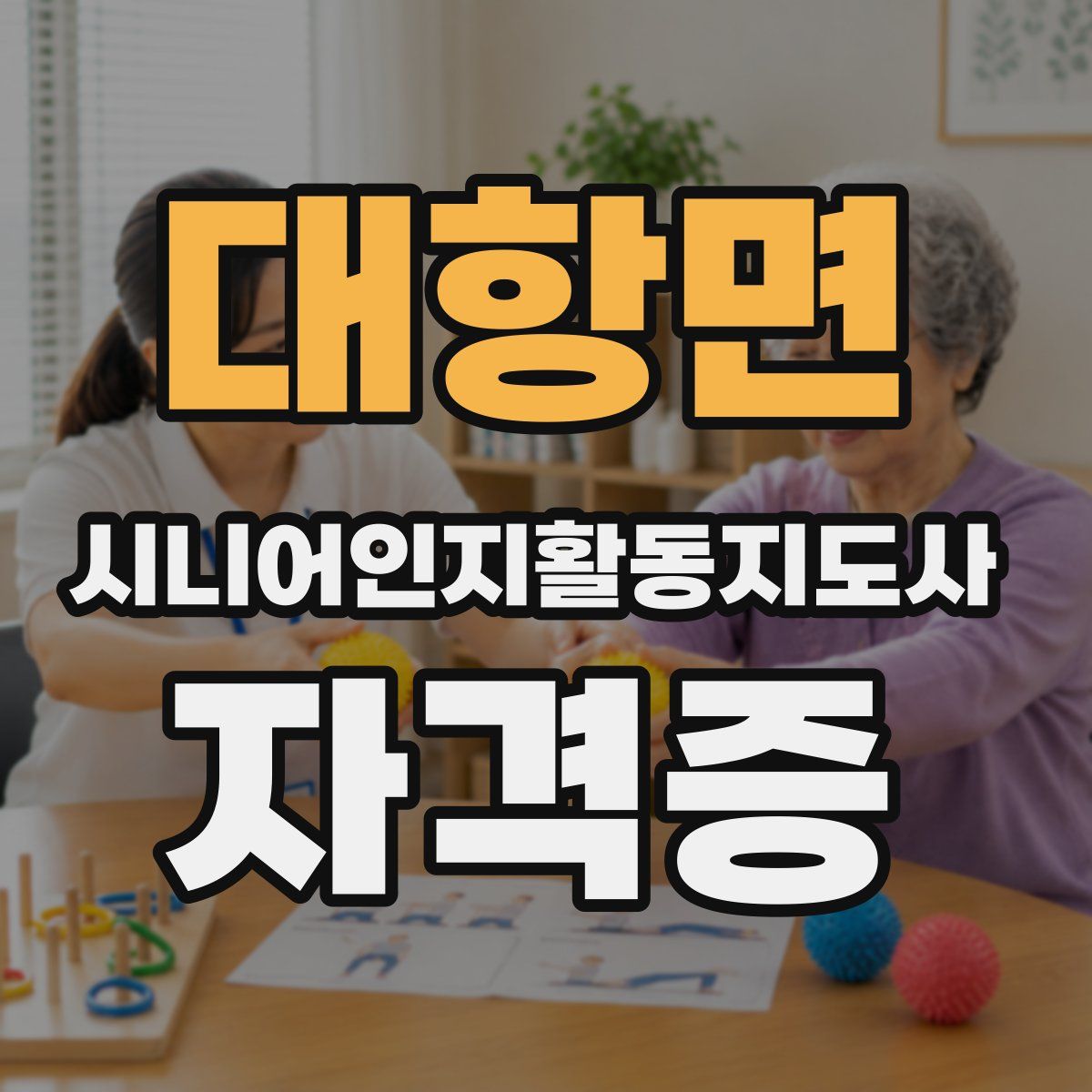 대항면 시니어인지활동지도사 자격증