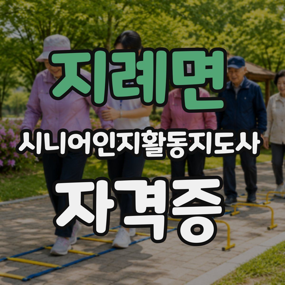 지례면 시니어인지활동지도사 자격증