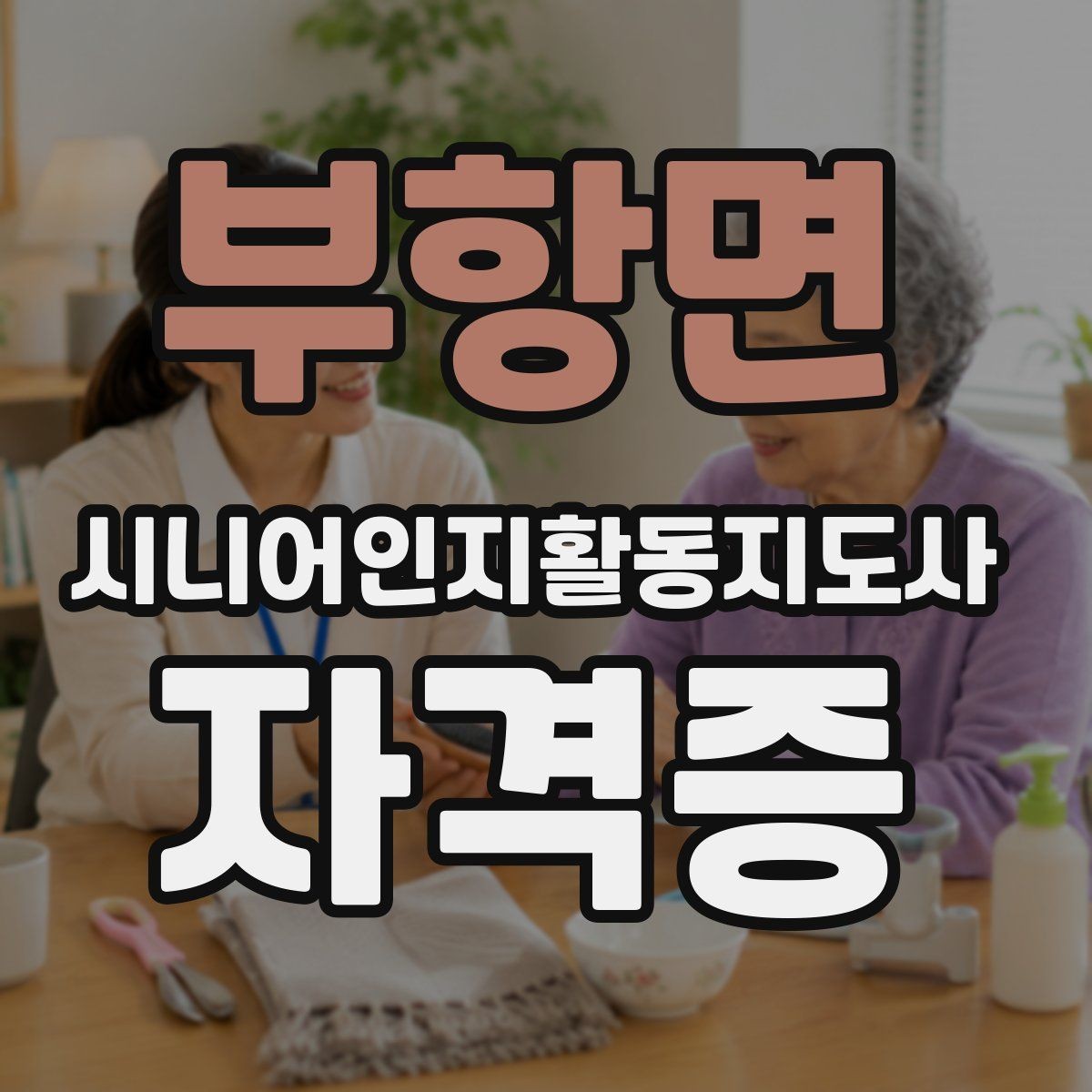 부항면 시니어인지활동지도사 자격증 실습 중심 과정의 특징