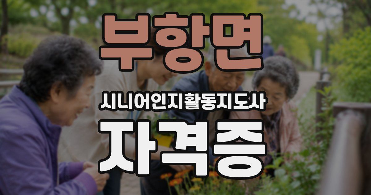 부항면 시니어인지활동지도사 자격증