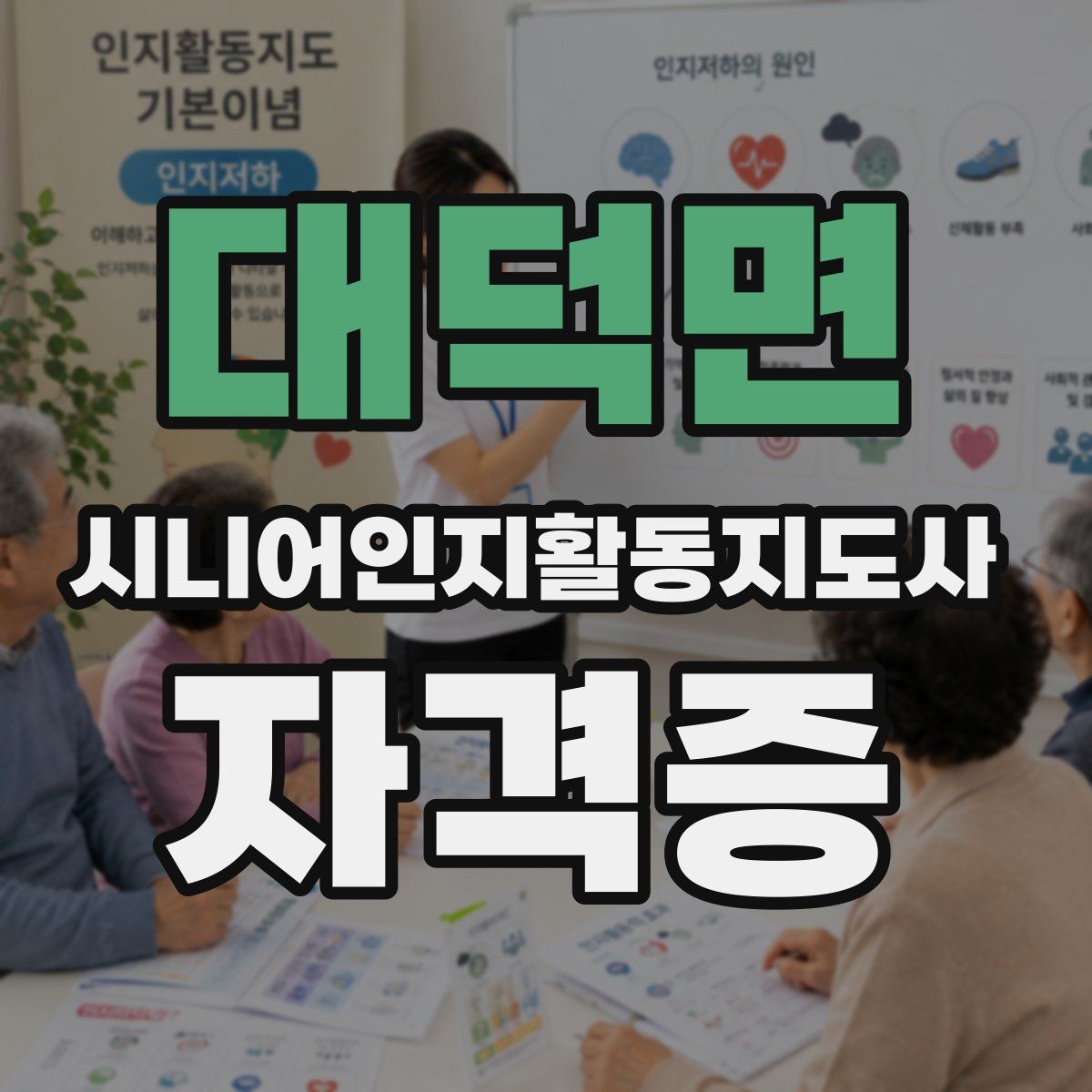 대덕면 시니어인지활동지도사 자격증