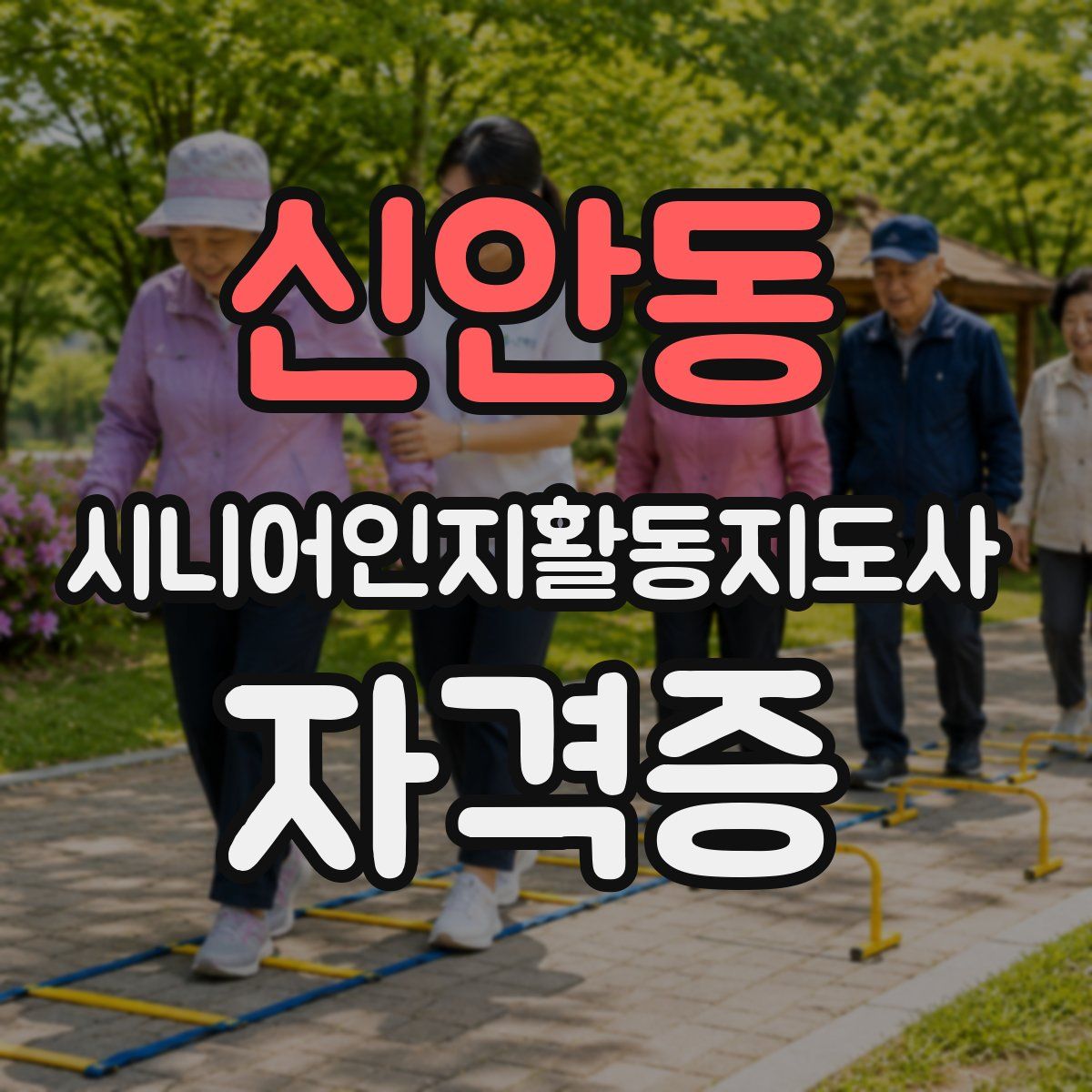 신안동 시니어인지활동지도사 자격증