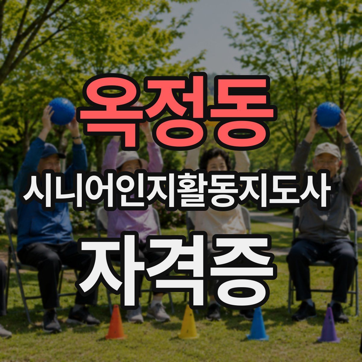 옥정동 시니어인지활동지도사 자격증