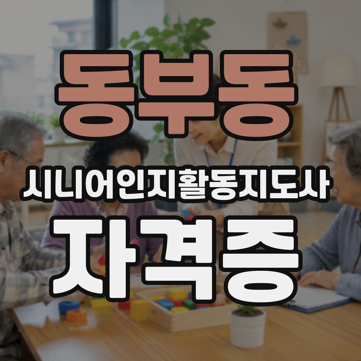 동부동 시니어인지활동지도사 자격증