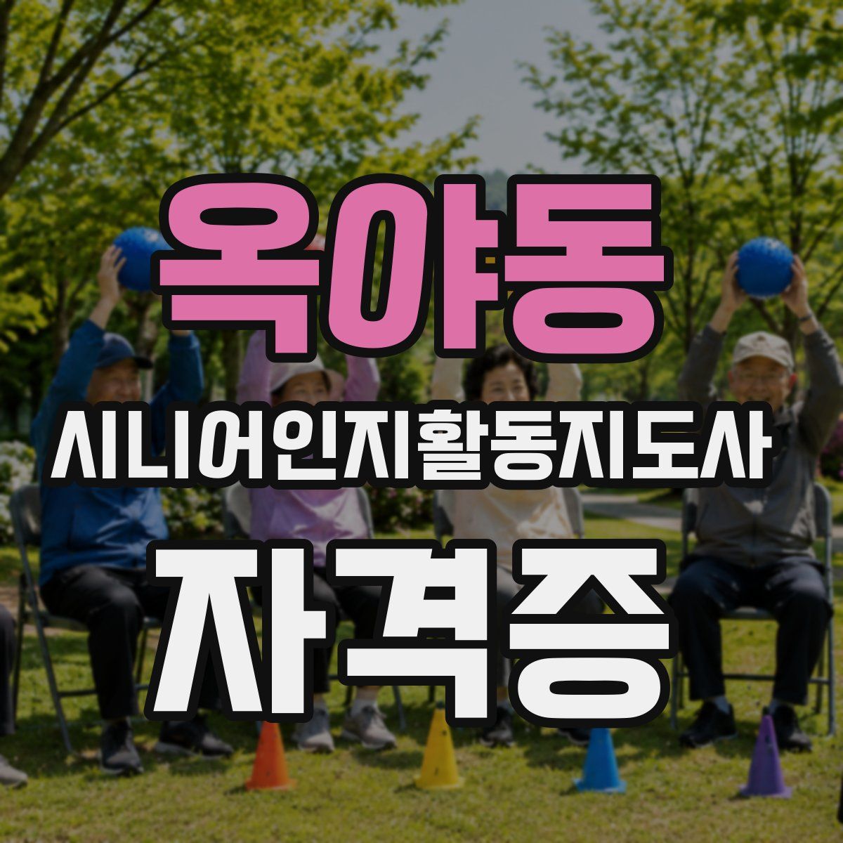 옥야동 시니어인지활동지도사 자격증