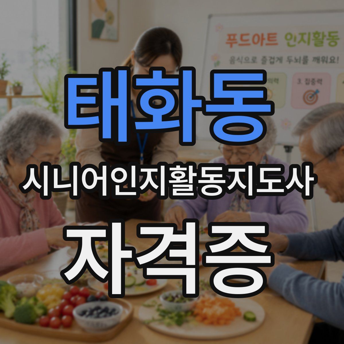 태화동 시니어인지활동지도사 자격증