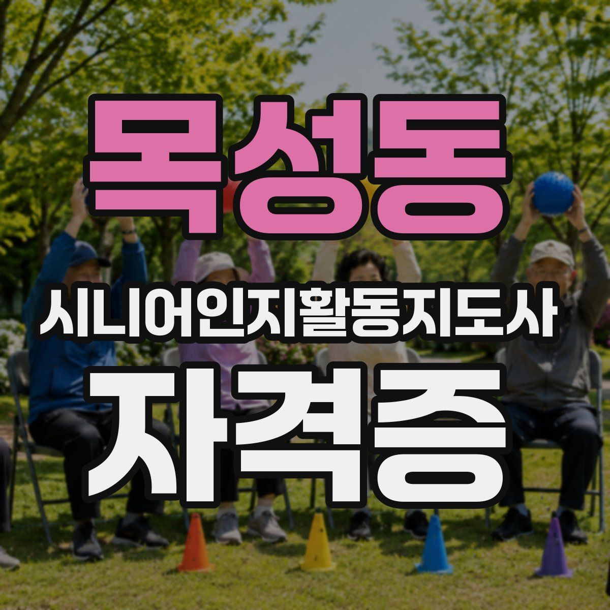 목성동 시니어인지활동지도사 자격증