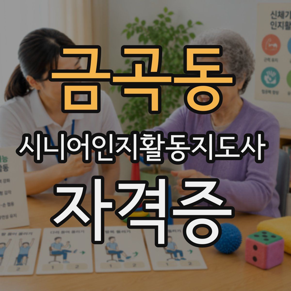금곡동 시니어인지활동지도사 자격증