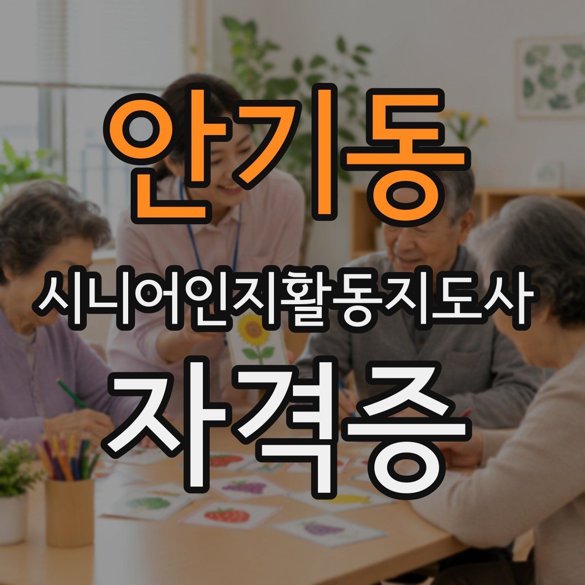안기동 시니어인지활동지도사 자격증 비교 시 놓치기 쉬운 점