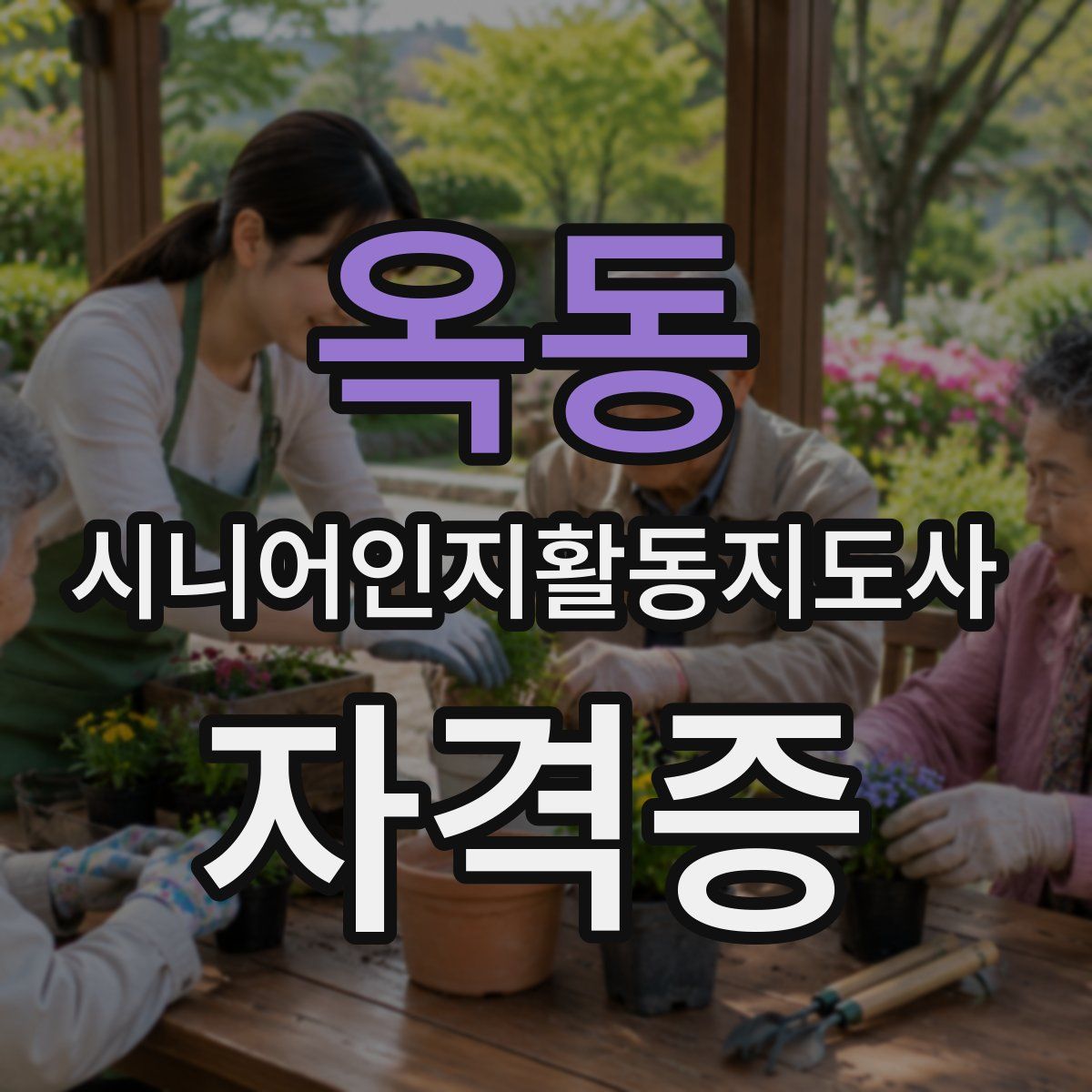 옥동 시니어인지활동지도사 자격증