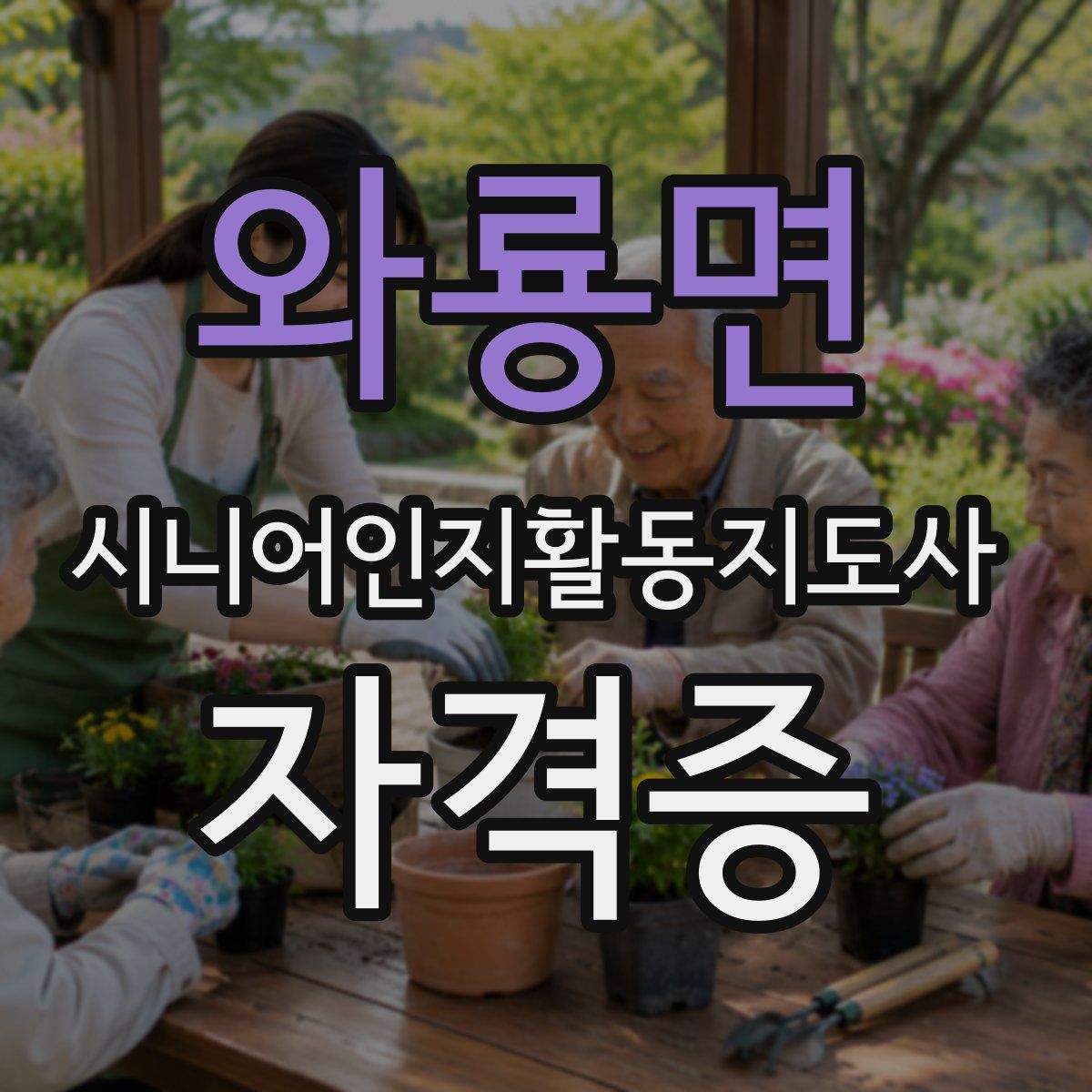 와룡면 시니어인지활동지도사 자격증