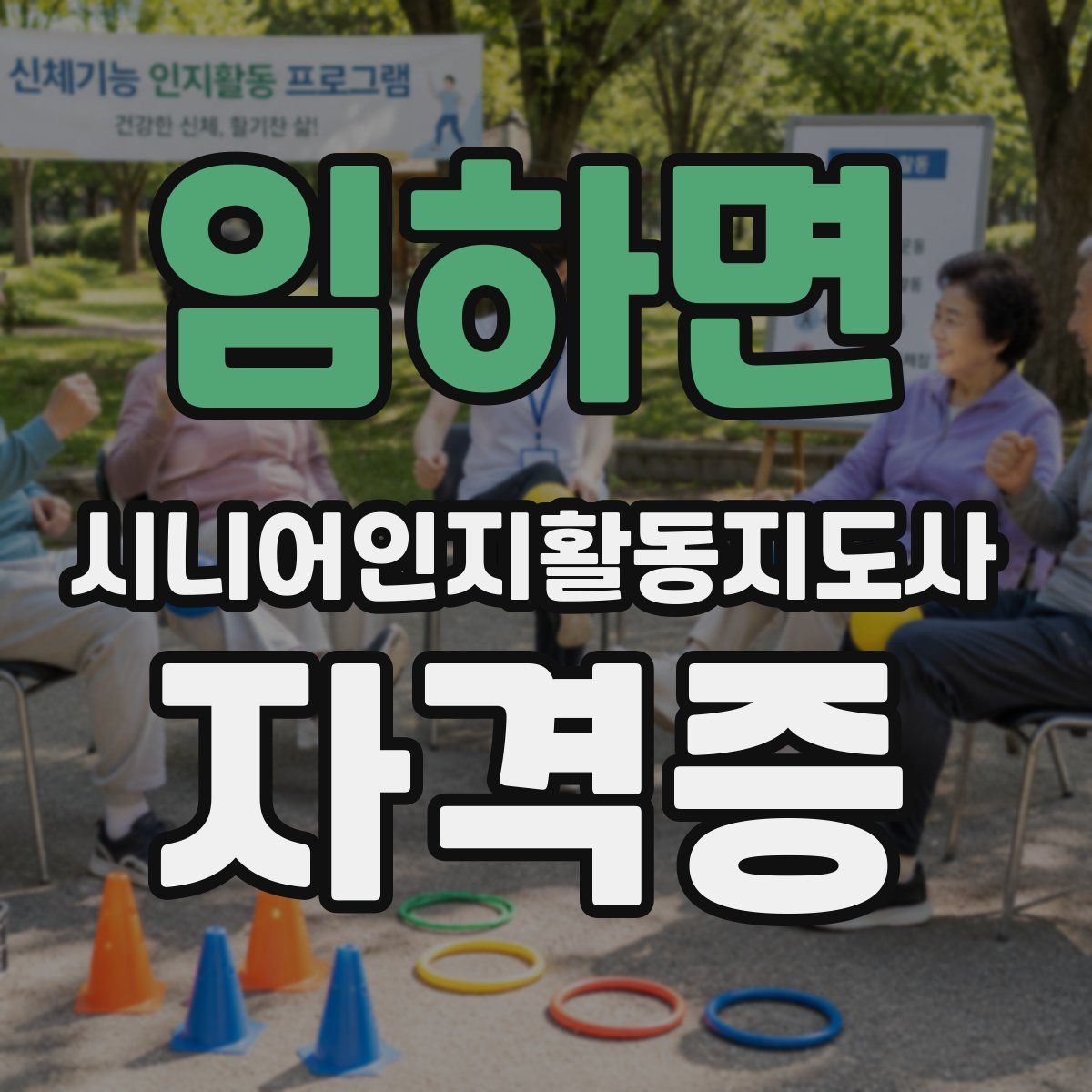 임하면 시니어인지활동지도사 자격증