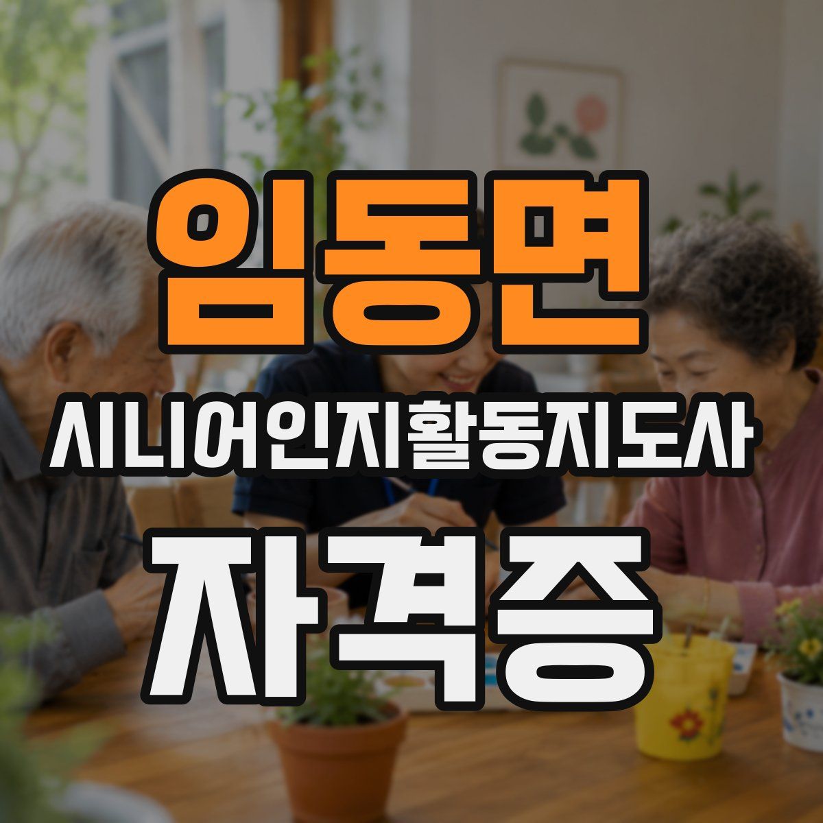 임동면 시니어인지활동지도사 자격증