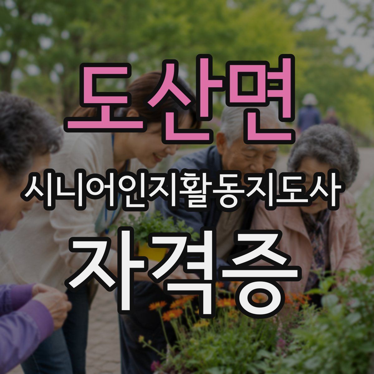도산면 시니어인지활동지도사 자격증