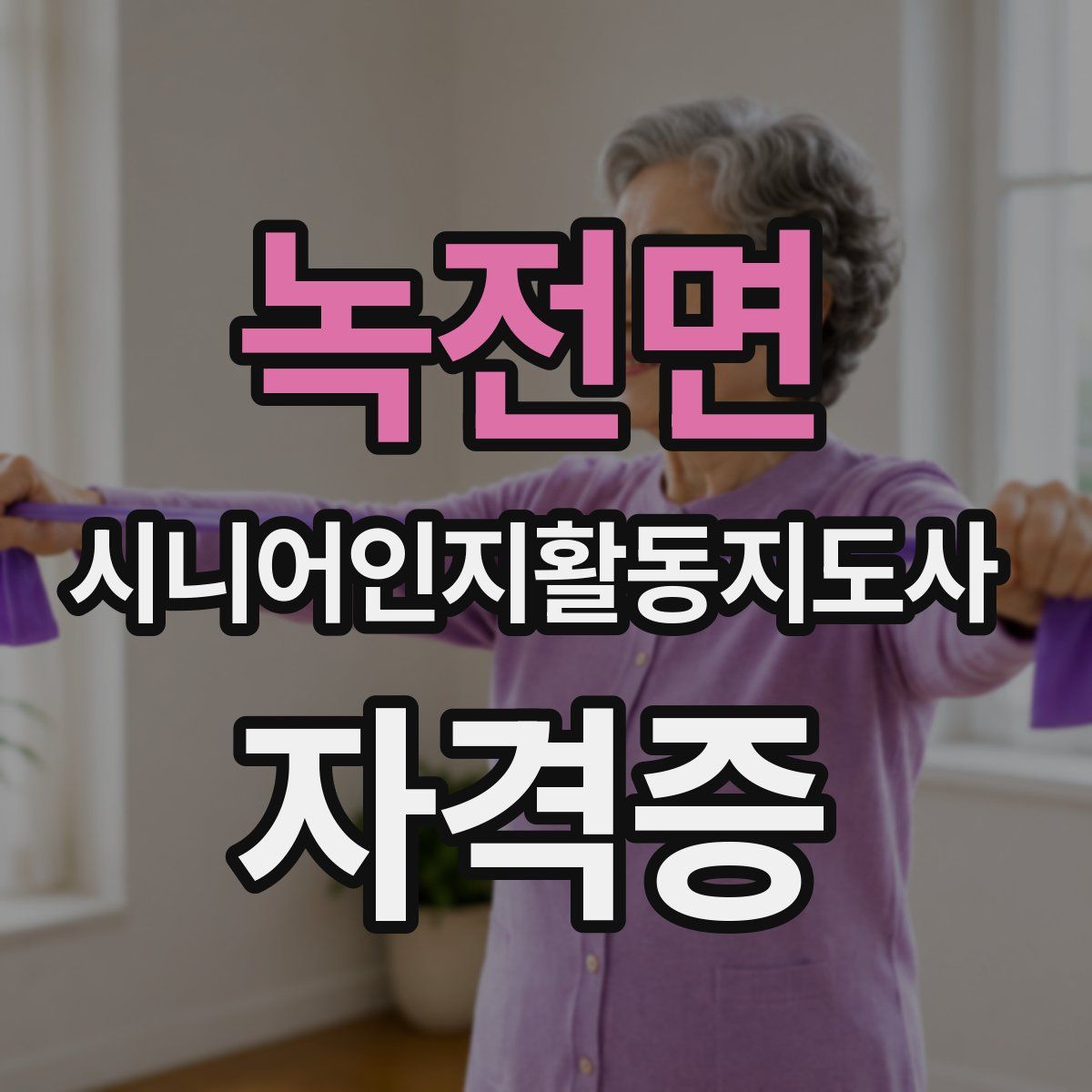 녹전면 시니어인지활동지도사 자격증