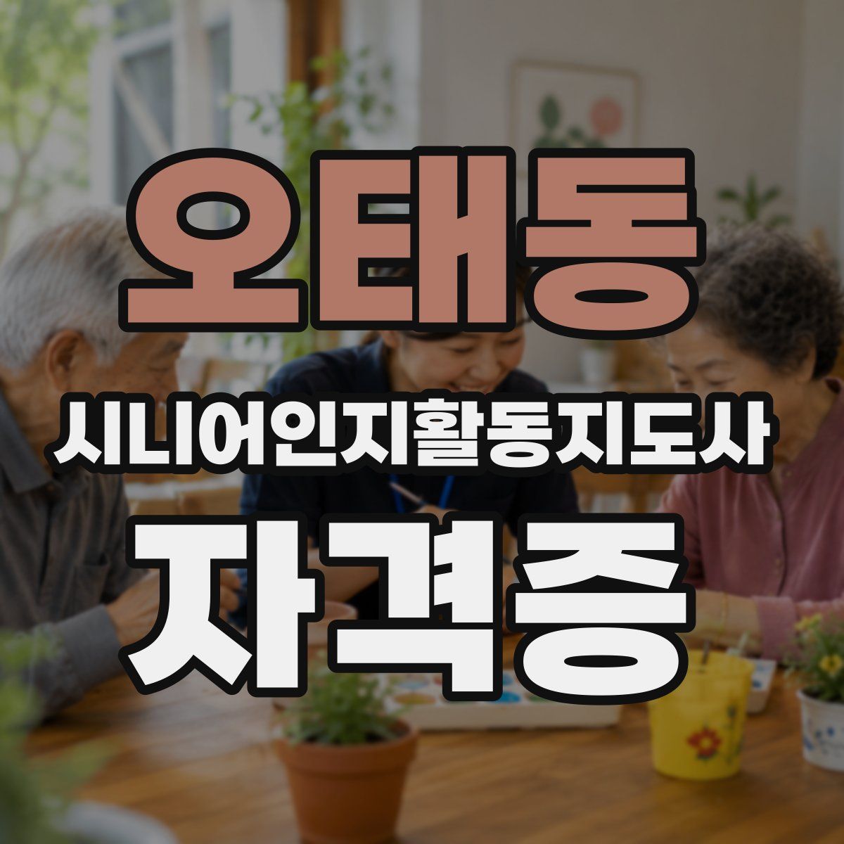 오태동 시니어인지활동지도사 자격증