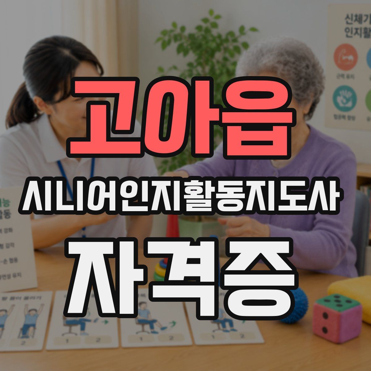 고아읍 시니어인지활동지도사 자격증