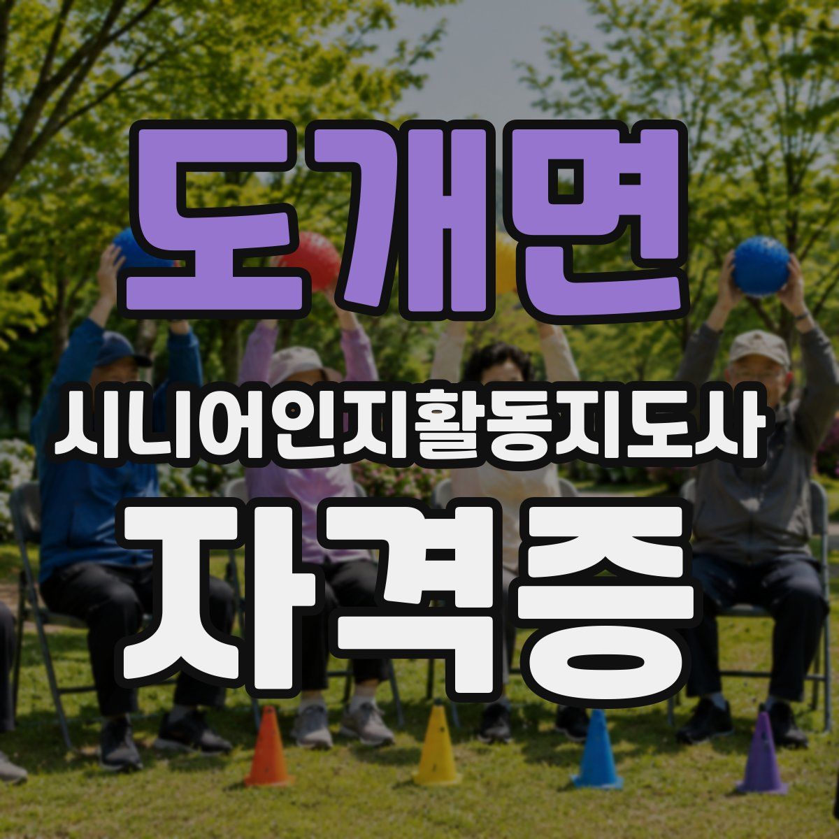 도개면 시니어인지활동지도사 자격증