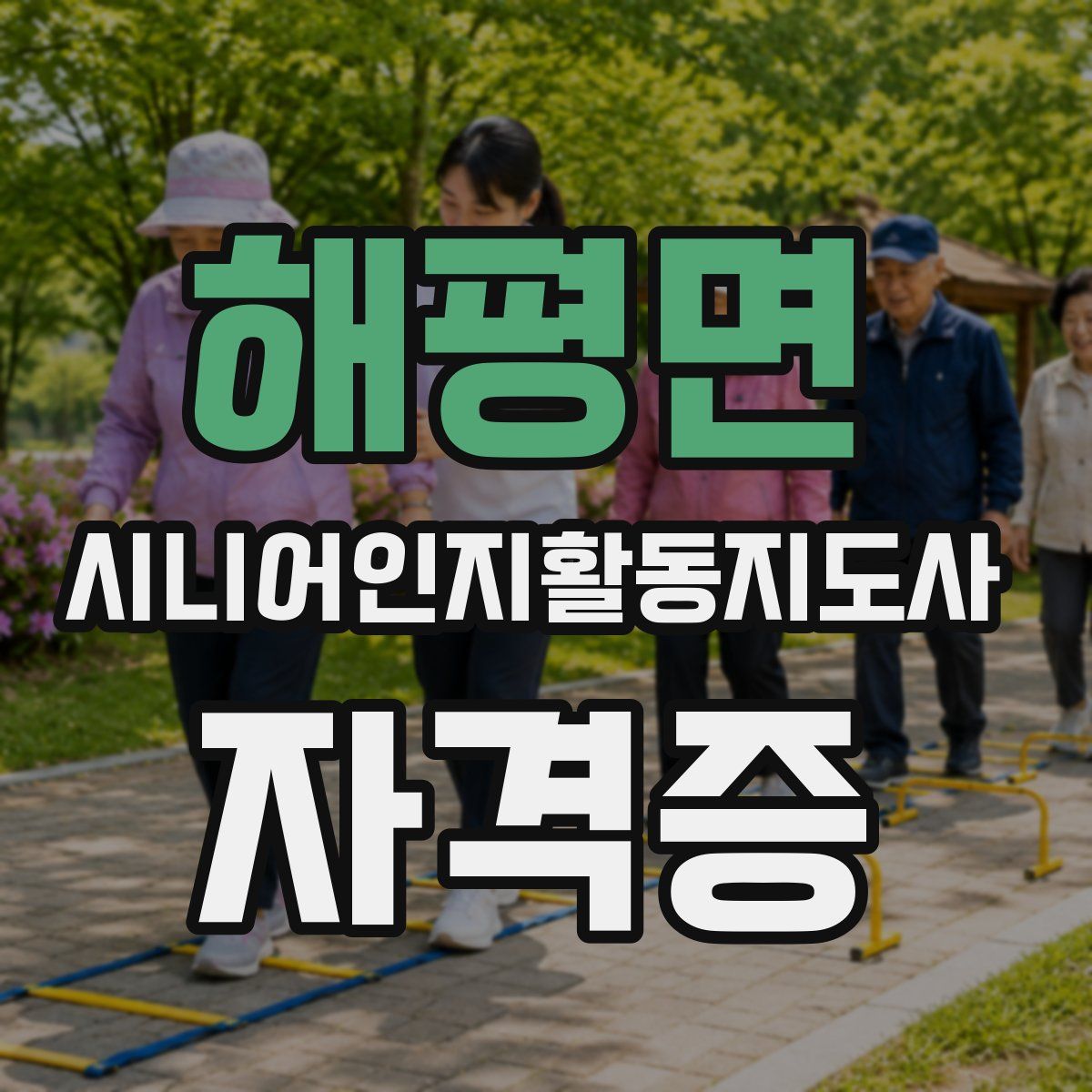 해평면 시니어인지활동지도사 자격증