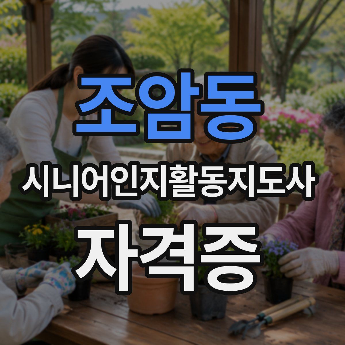 조암동 시니어인지활동지도사 자격증