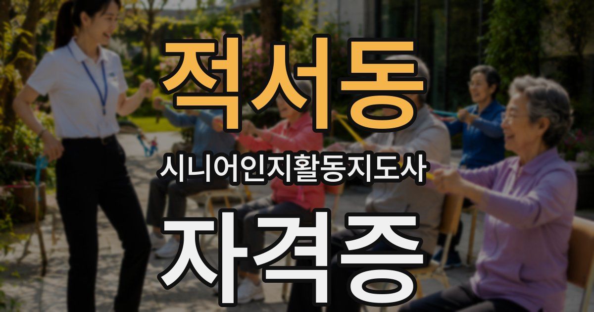 적서동 시니어인지활동지도사 자격증