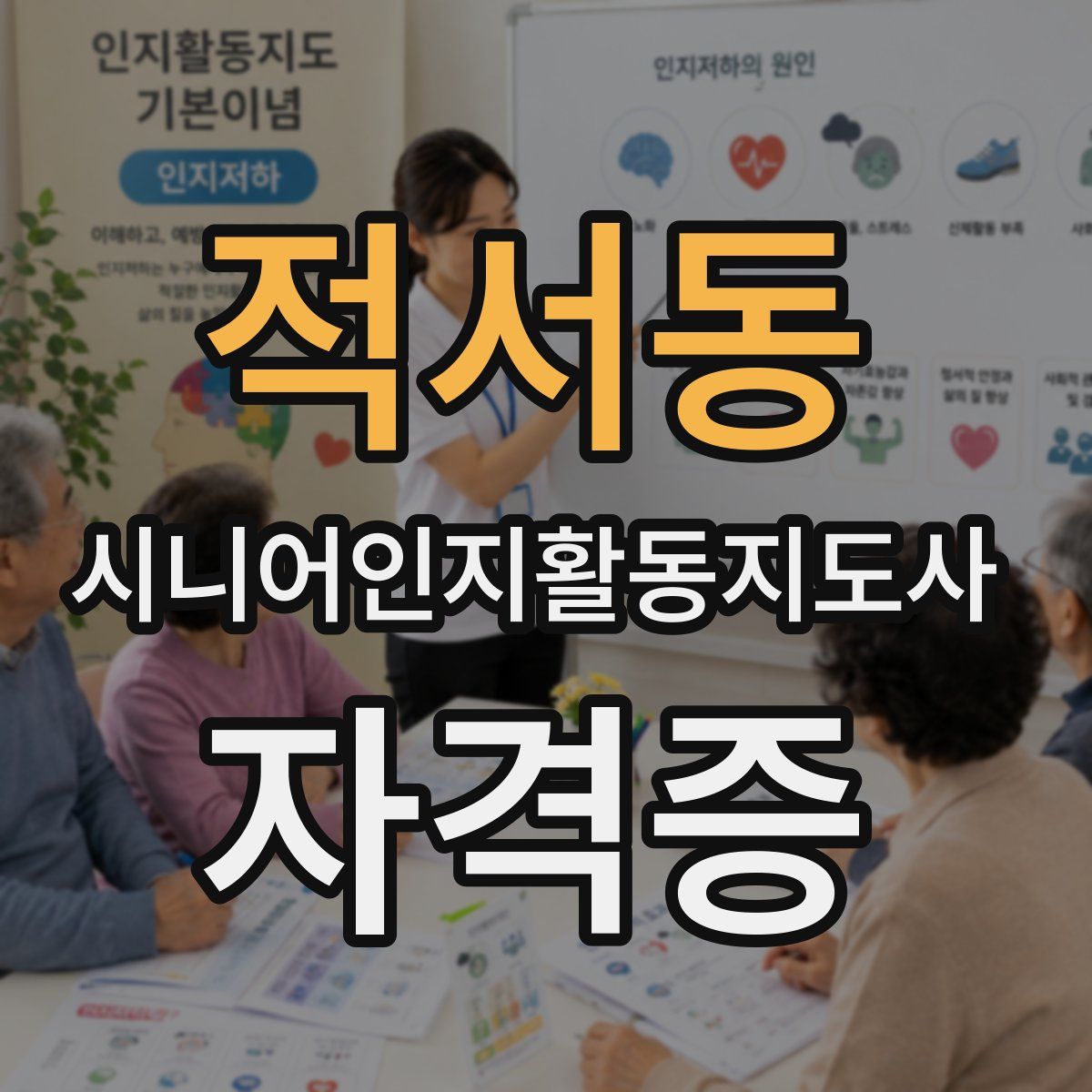 적서동 시니어인지활동지도사 자격증
