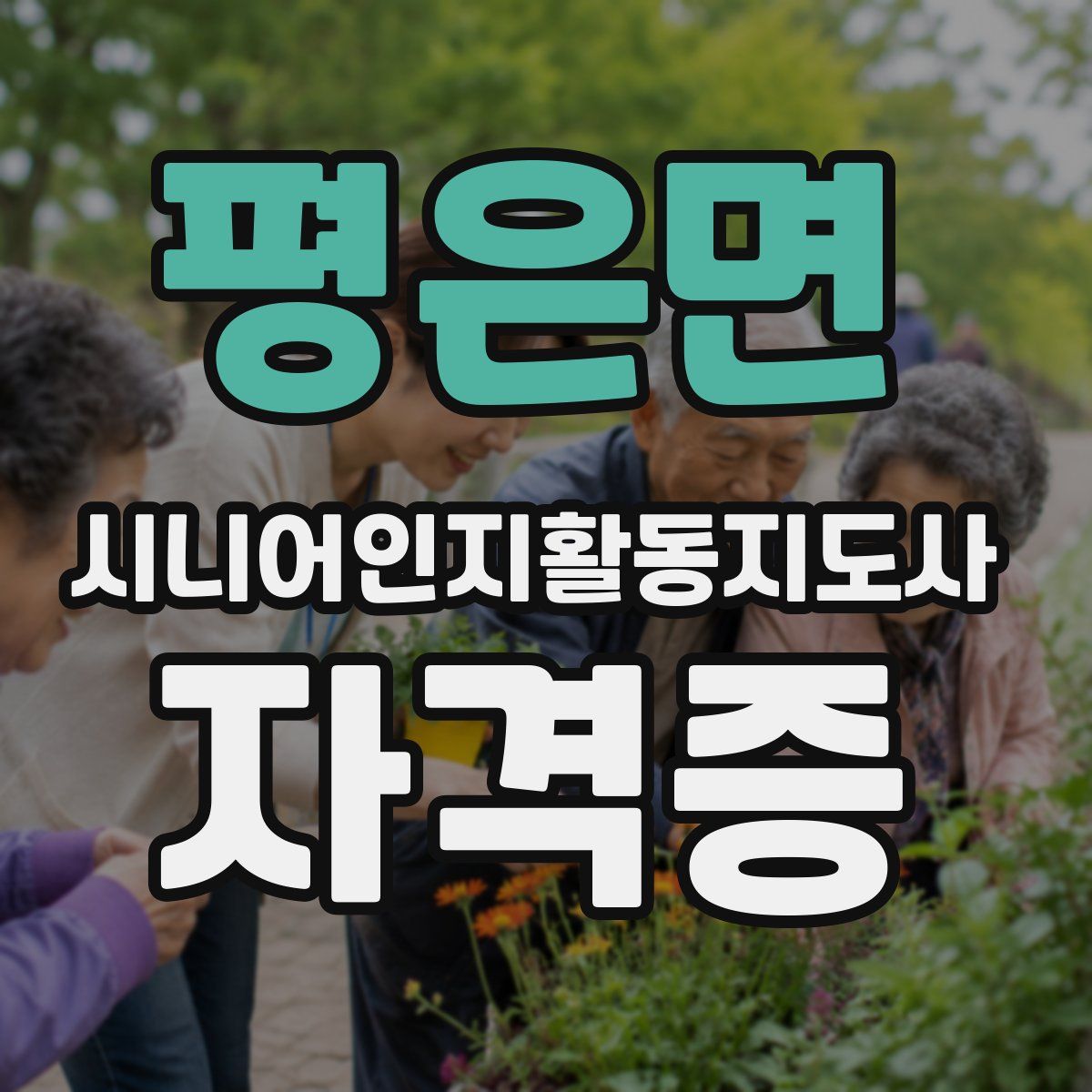 평은면 시니어인지활동지도사 자격증