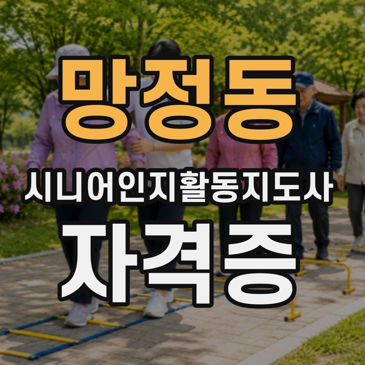 망정동 시니어인지활동지도사 자격증