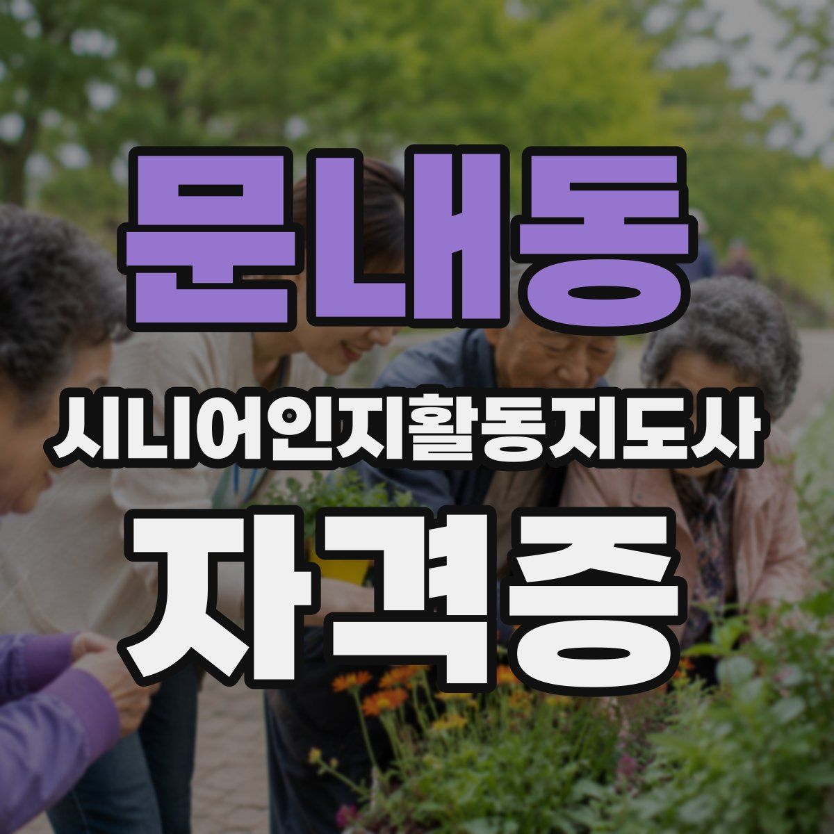 문내동 시니어인지활동지도사 자격증