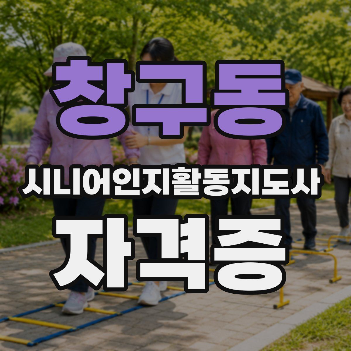 창구동 시니어인지활동지도사 자격증