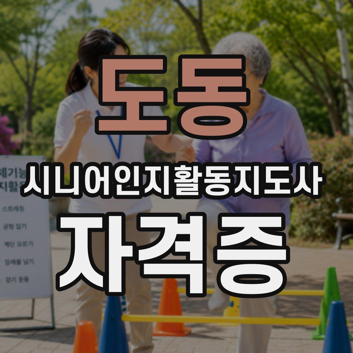 도동 시니어인지활동지도사 자격증