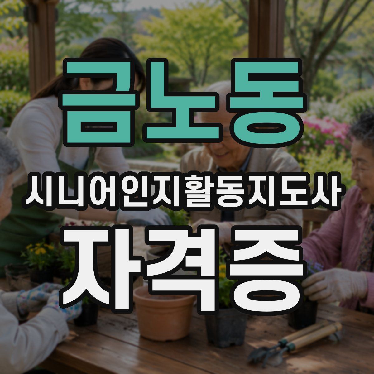 금노동 시니어인지활동지도사 자격증