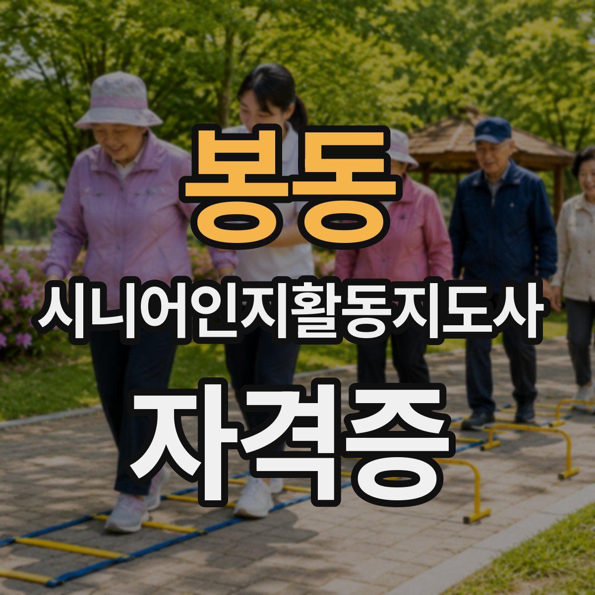 봉동 시니어인지활동지도사 자격증