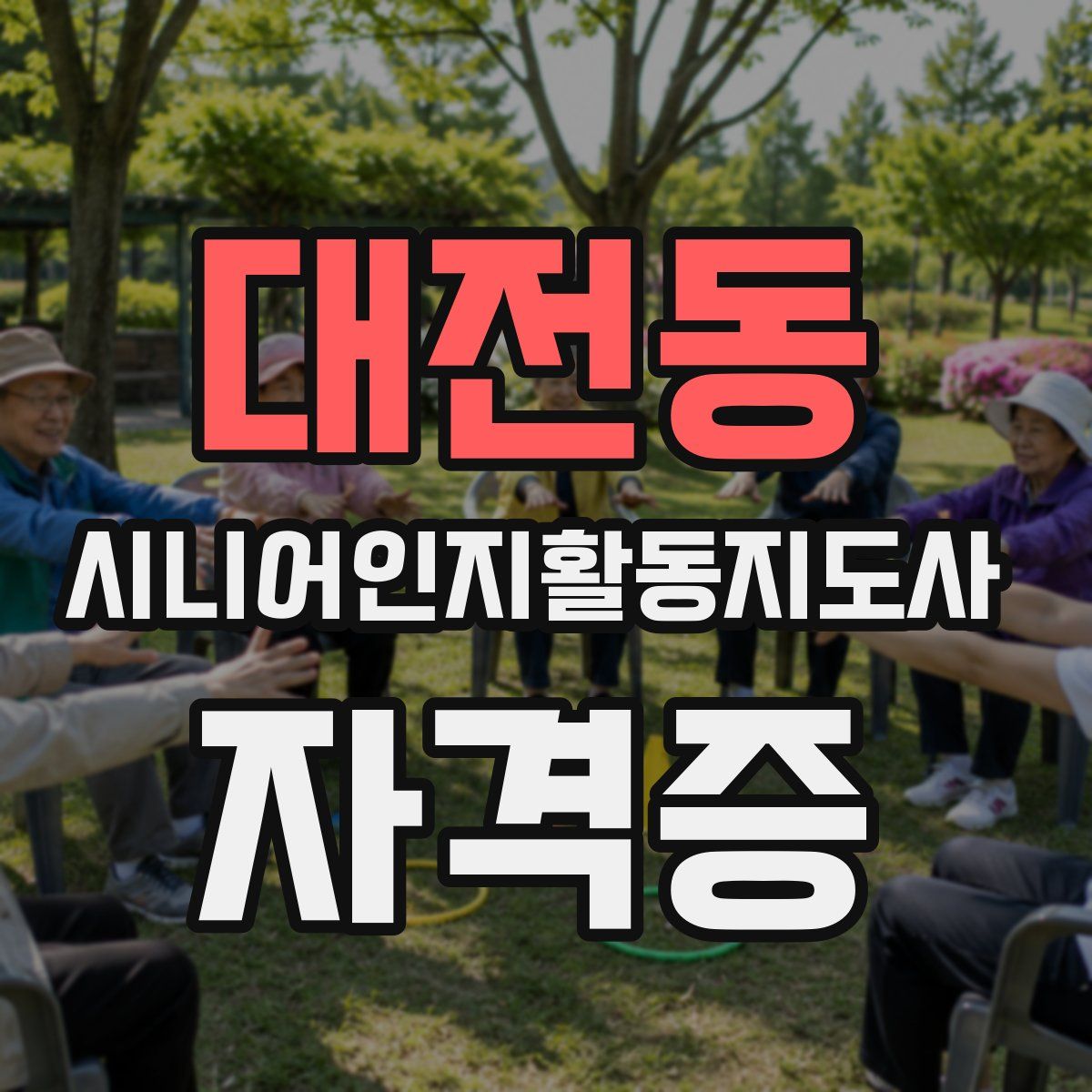 대전동 시니어인지활동지도사 자격증