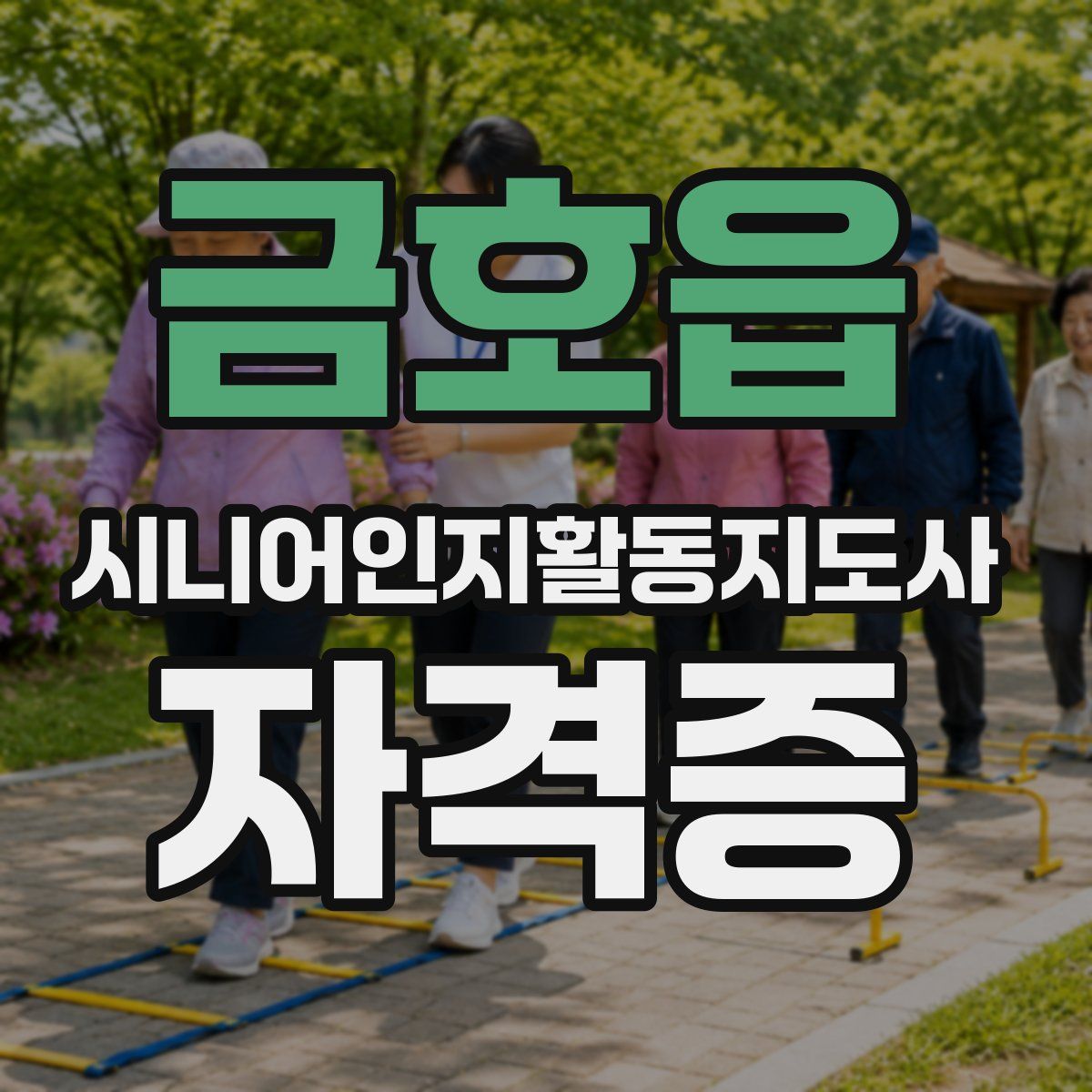 금호읍 시니어인지활동지도사 자격증