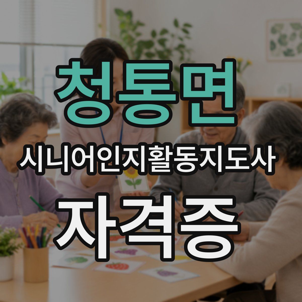청통면 시니어인지활동지도사 자격증
