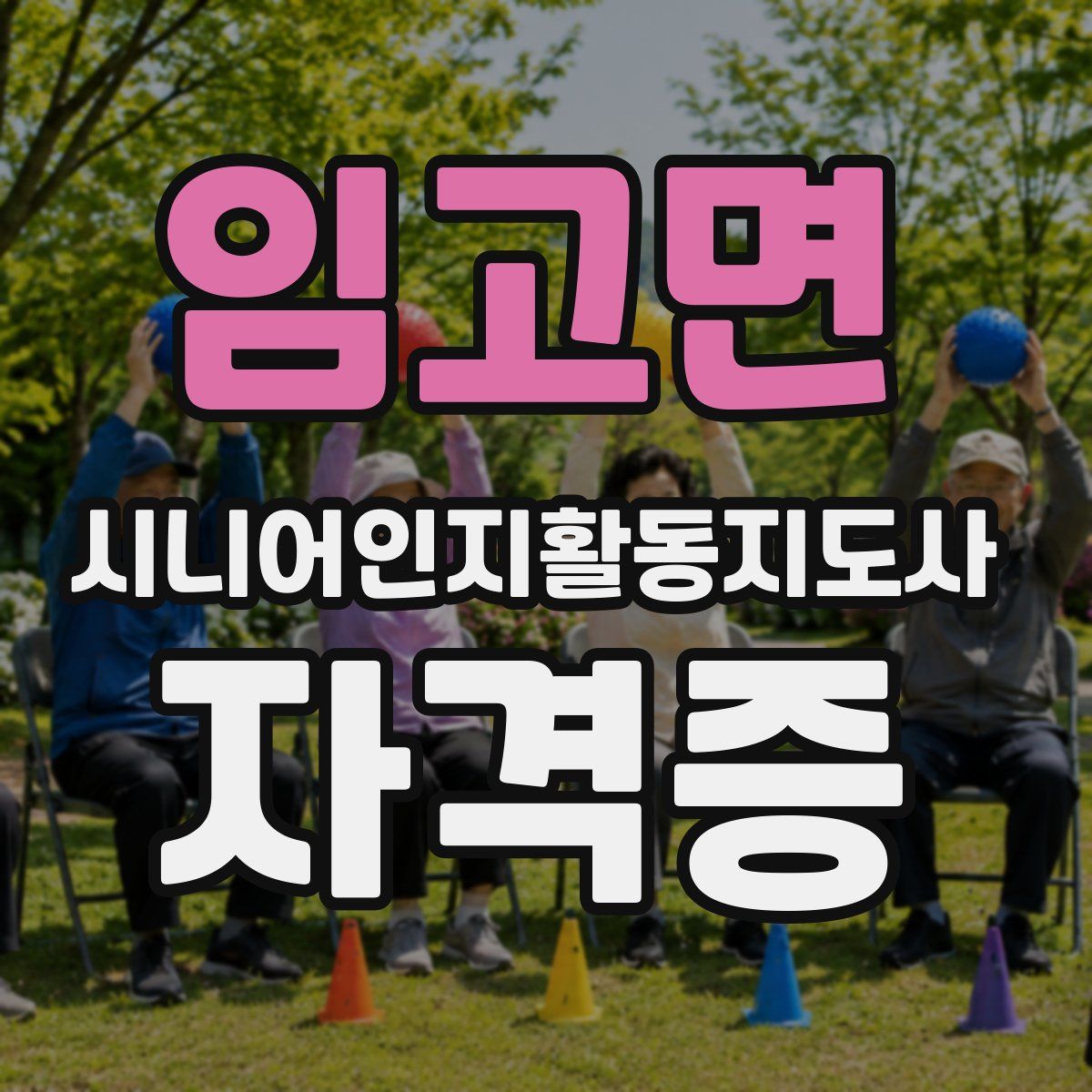 임고면 시니어인지활동지도사 자격증