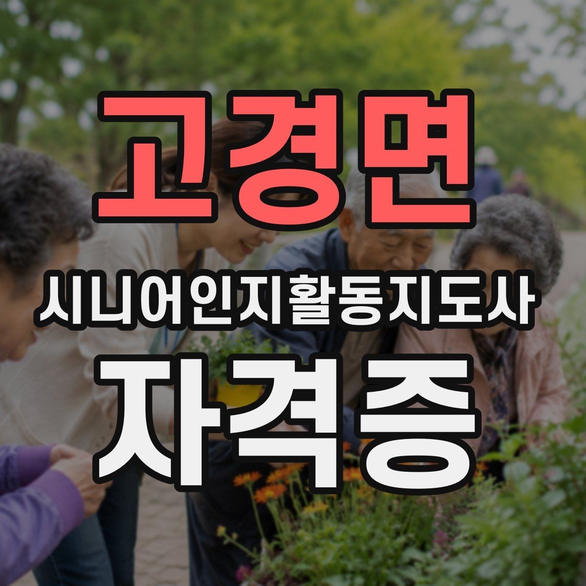 고경면 시니어인지활동지도사 자격증 공부 계획 세부 구성법