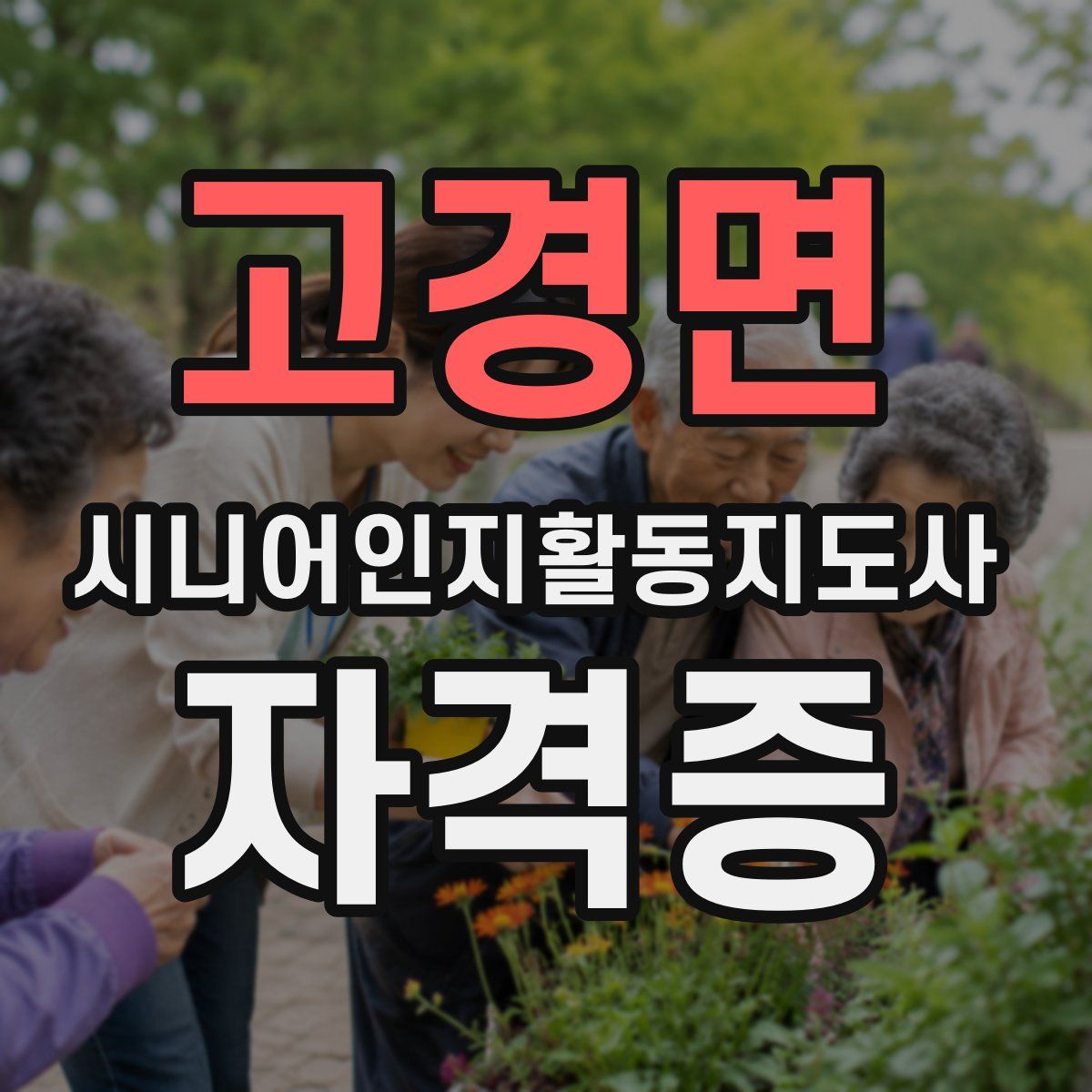 고경면 시니어인지활동지도사 자격증