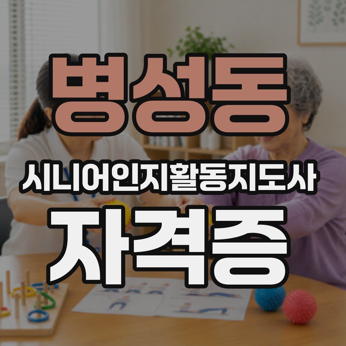 병성동 시니어인지활동지도사 자격증