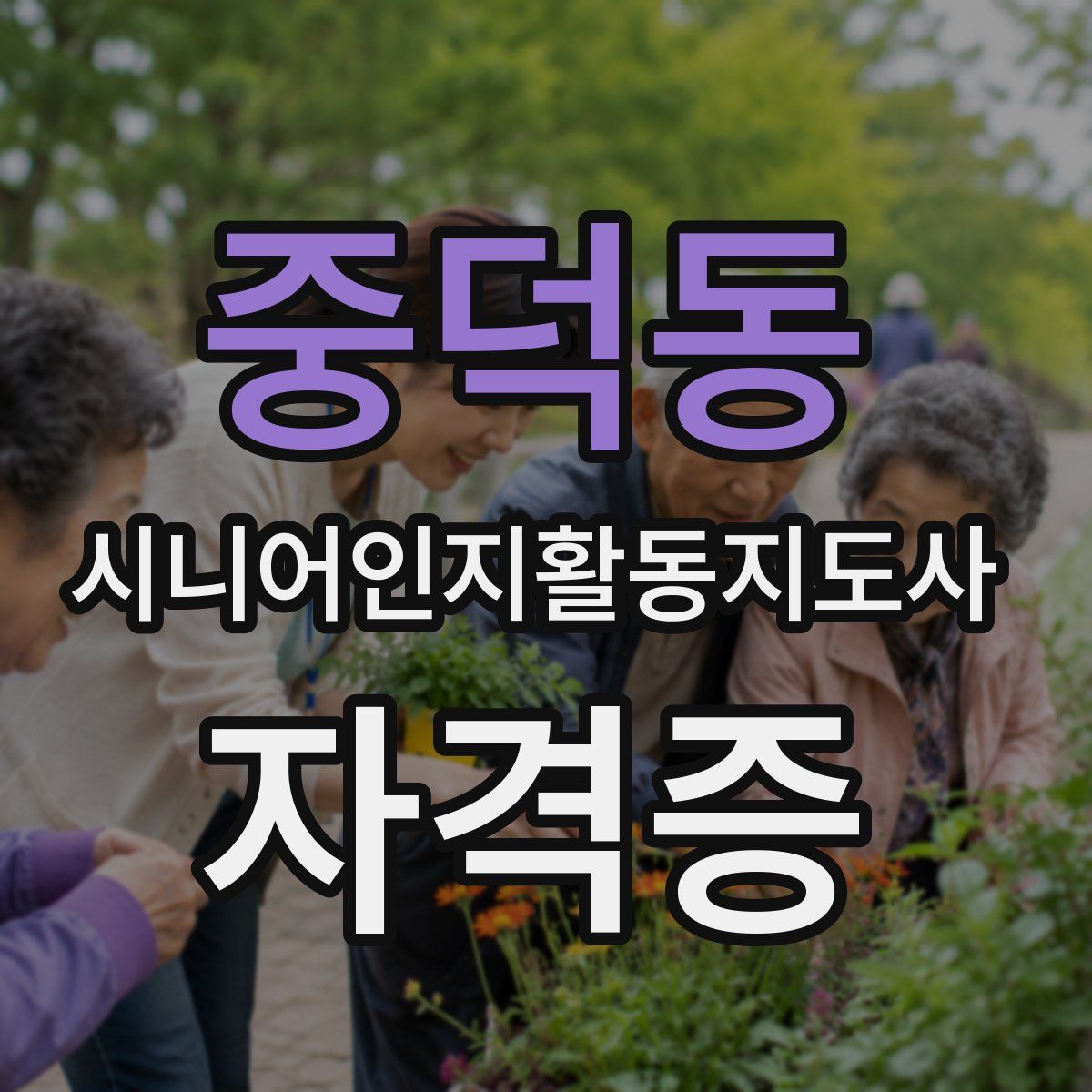 중덕동 시니어인지활동지도사 자격증