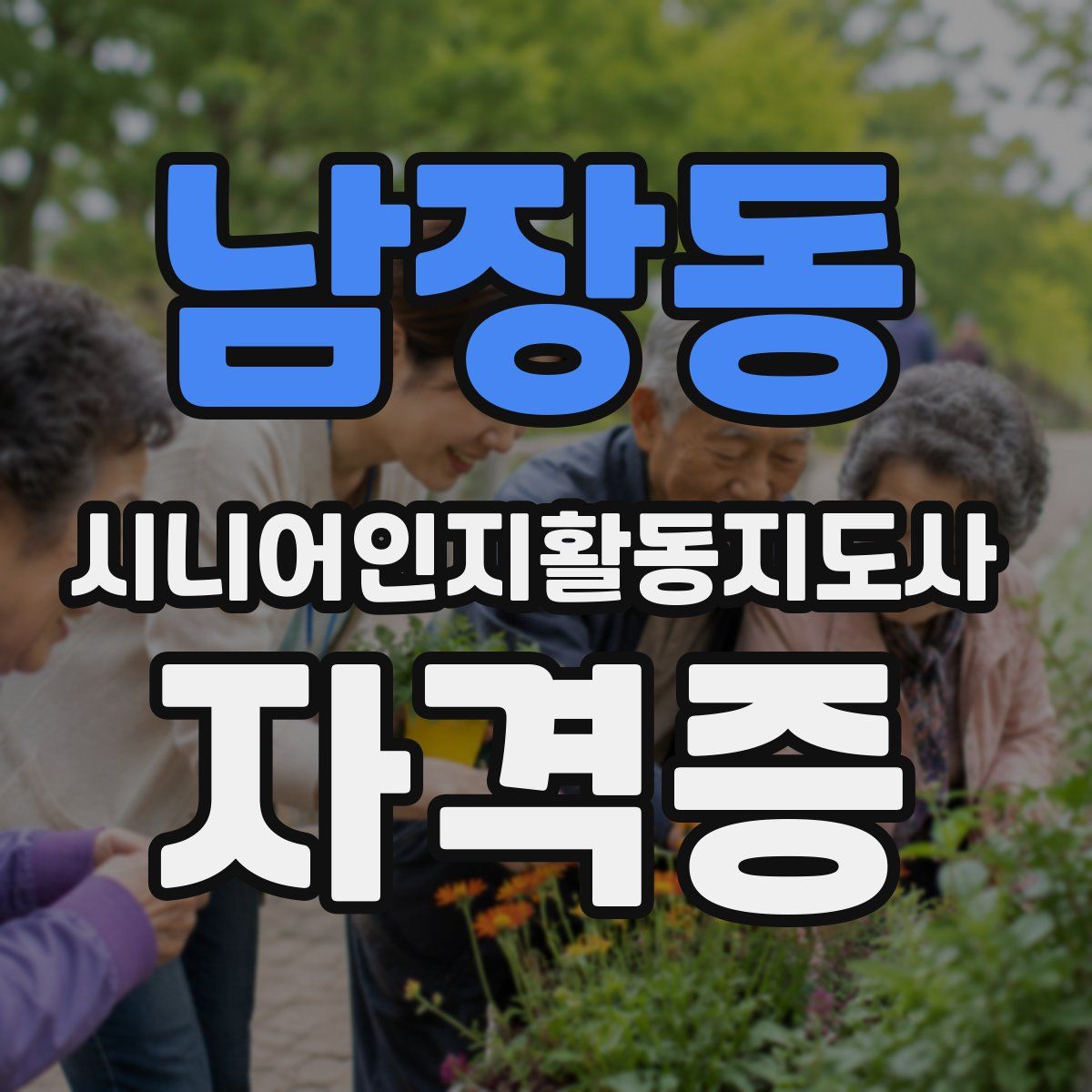 남장동 시니어인지활동지도사 자격증